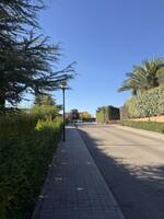 IMG_6370.jpeg