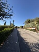 IMG_6371.jpeg