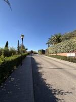 IMG_6372.jpeg