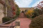 retocadas (4)