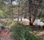 Imagen de WhatsApp 2025-07-28 a las 17.58.25_4e9f04aa