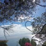 IMG_20251116_123012 snp