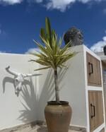 IMG_4041.jpeg