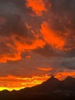 WhatsApp Image 2024-12-12 at 10.29.52 (1)